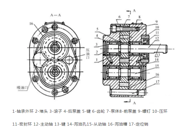 齿轮泵的结构图