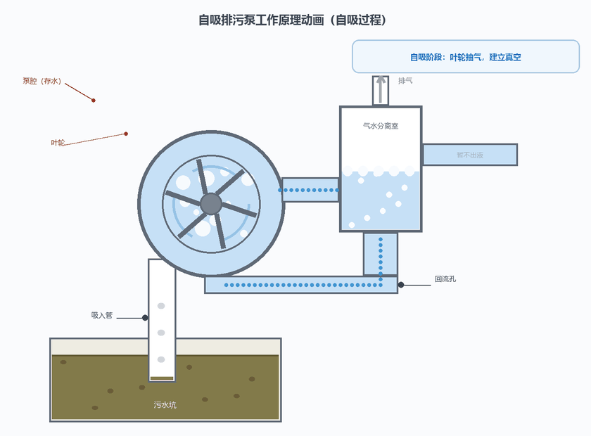 自吸排污泵工作原理动画:泵腔存水、叶轮抽气、气水分离、真空吸水连续输液全过程