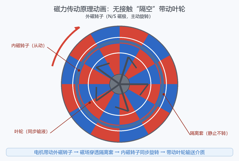 磁力传动原理动画:外磁转子旋转,磁场穿透静止的隔离套,带动内磁转子和叶轮同步旋转