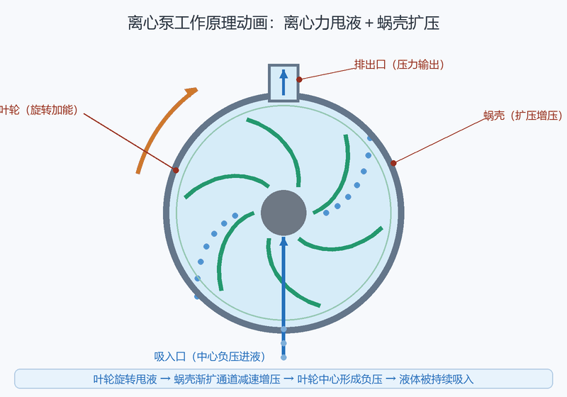 离心泵工作原理动画:叶轮旋转甩液,蜗壳扩压增压,中心负压持续吸入
